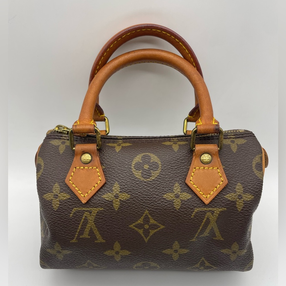 Louis Vuitton Speedy Nano Bag